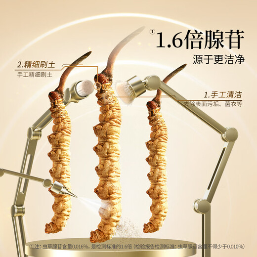 同仁堂品牌冬虫夏草约4根/g5g约20根年虫草礼盒高端送人父母北京同仁堂