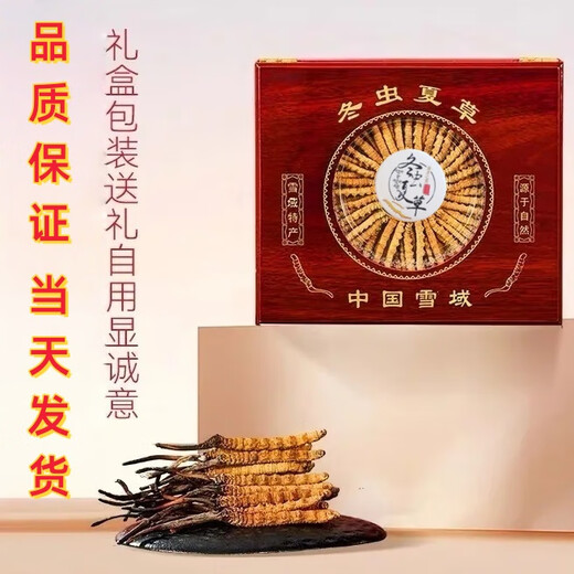 Luzhangtang Cordyceps gift box is packed with authentic Tibetan snow mountain Cordyceps gifts quality guaranteed to ship on the same day. Tibet Naqu fine cordyceps 2 pieces 1 gram 20 pieces