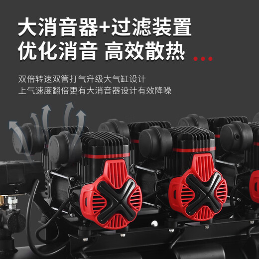 Otus air compressor two poles oil-free silent household industrial air pump 220V woodworking paint air compressor two poles 12604-120L