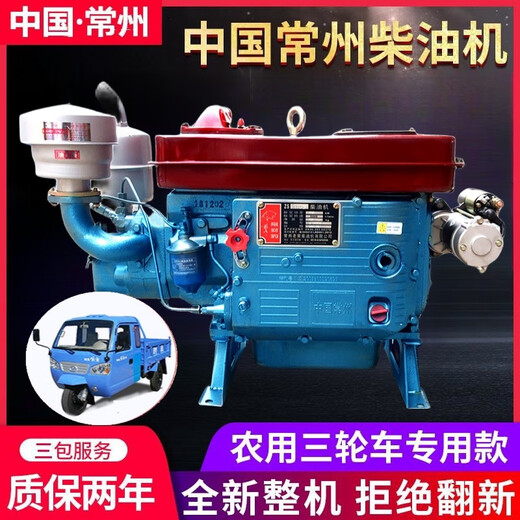Pupan Changzhou Dieselmotor 18 20 22 25 28 PS Flachwassertank Feng Wuzheng landwirtschaftlicher Dreiradmotor ZS1105M [18 PS Elektrostart]
