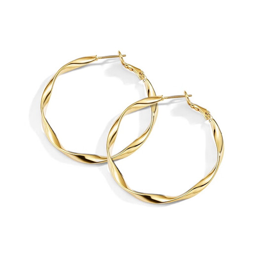 Fat Donglai's same style 18k gold hoop hoop earrings retro large 2025 new earrings women's niche design gold diameter 3.5cm 925 silver needle + combination