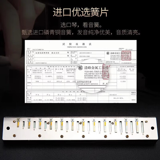 国光德国进口音簧国光28孔高端口琴复音专业演奏级24孔重音初学者送礼 高端演奏级-28孔梦境黑复音C调