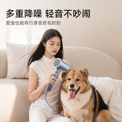 Oaks (AUX) hair dryer household 2400W high-speed electric wind blowing negative ion hair dryer travel portable hair dryer hair dryer for men and women does not hurt the hair dryer blue gray