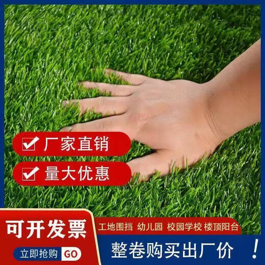 Simulated lawn artificial turf artificial fake lawn carpet simulated plastic lawn mat outdoor 2 cm thick spring grass 2 meters wide * 6 long