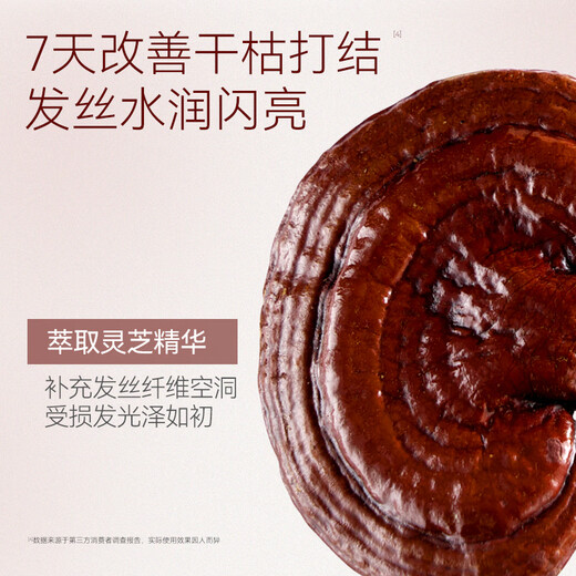 
JD.com specializes in the research of plant-based red Ganoderma lucidum hydrated anti-dandruff shampoo anti-it-control oil fluffy shampoo 500ml