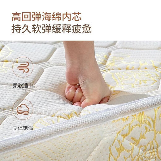 办公室午休折叠床便携单人床酒店加床月嫂陪护家用午睡床坚固耐用 舒适5.5CM 海绵款-80宽 双折
