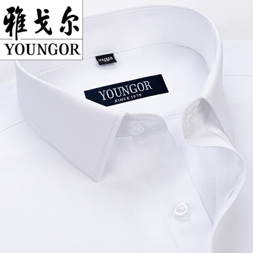 PDG Yageor Mente à manches courtes pour hommes Summer Coton Pure Business Professional Casual Professional Wear Anti-Wrinkes Stran d'âge moyen DX6626 44 Suggestions (180-195Jin [Jin est égal à 0,5 kg]))