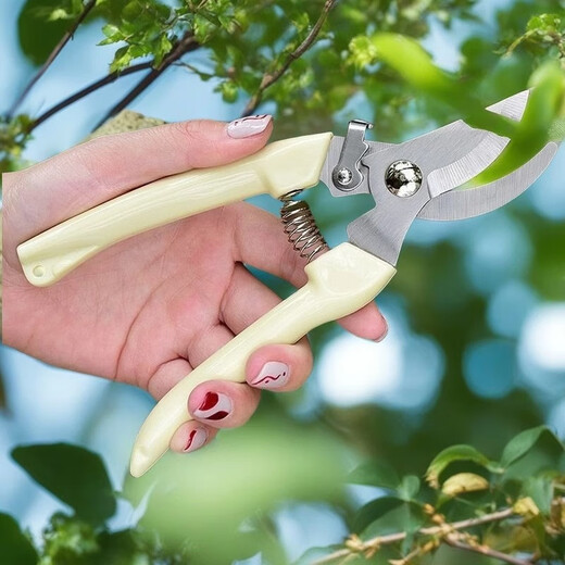 Orange Central gardening shears, powerful stainless steel labor-saving pruning pruning fruit tree thick branches special scissors