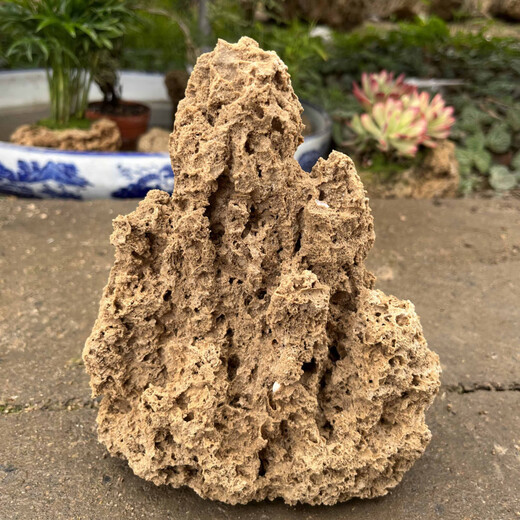 Fine small water stone bonsai rockery absorbent stone micro landscape decoration strange stone ornaments natural rough stone water rust stone about 15cm free grass seeds and stones