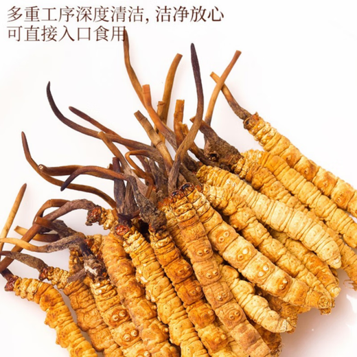 Cordyceps Dried Goods Authentic Cordyceps Gift Box Cordyceps Wangxiong Fengdao Nourishing and Healthy Cordyceps Three Roots One Gram 100 Roots Boxed