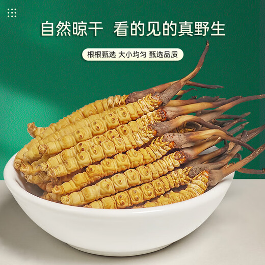 Zhaoying Peak [Wild] Cordyceps Sinensis, новая сушеная сушеная стадия Cordyceps Sinensis в Nagqu, Тибетс, подарочная коробка фестиваля в середине осени, 5 Wild 5 корней/грамм, 25 корней [тибетская подарочная коробка]