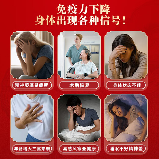Guan Dexing Hongkong Baozhilin Breaking Wall Ganoderma lucidum spore pown 50g Geschenkbox Verbesserung Ernährungsprodukte Geschenke für die postoperative Erholung immunverbessert
