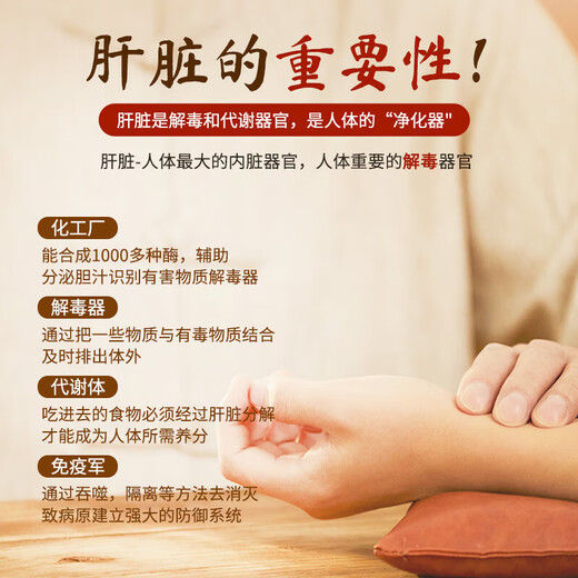 扁神医修合牌葛根黄芪片护肝片脂肪肝肝脏排毒养肝护肝片喝酒熬夜男女士 扁神医修合牌葛根黄芪片3盒装【周期保障】 官方店旗舰正品