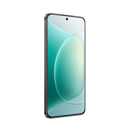 Honor 300 small straight screen mobile phone DSLR-level Yagu portrait Oasis eye protection screen Qinghai Lake battery Honor (HONOR) 300 Black 12GB + 256GB stand-alone + third-party brand fast charging + nationwide warranty