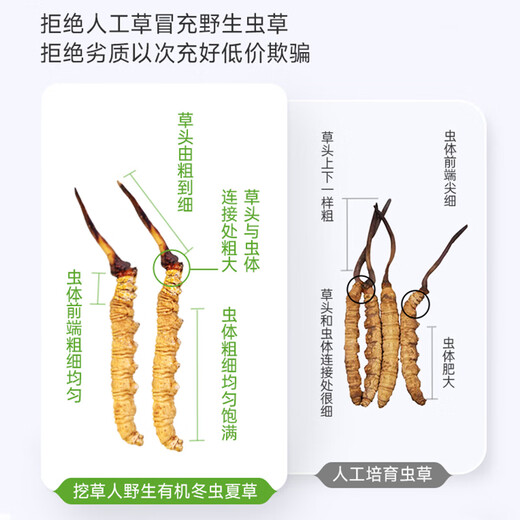 Grass Digger [Really] Wild Cordyceps sinensis Tibetan wild Cordyceps health tonic gift box gift for middle-aged and elderly people. Level 3 grass 1 gram four roots 5 grams pack Wild Cordyceps sinensis