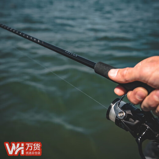 达亿瓦（DAIWA）24新款TATULA XT 蜘蛛鲈钓路亚竿泛用竿微物翘嘴远投 3m 2.0 682MLFS