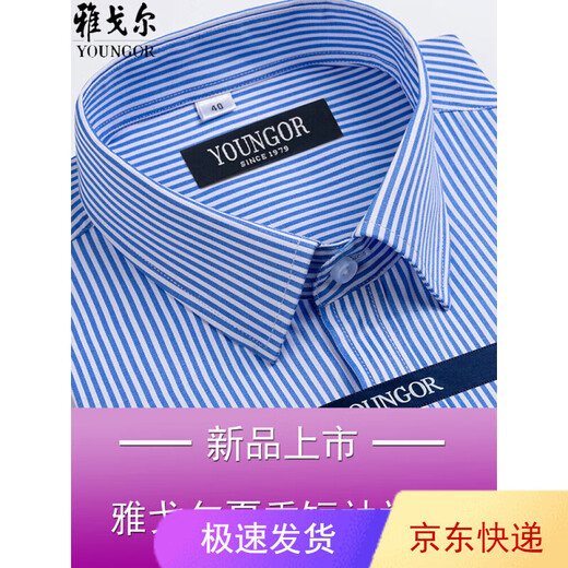 CEO雅戈尔男士短袖衬衫夏季商务休闲职业正装棉免烫中年大码条纹衬衣 短袖DX6624 43