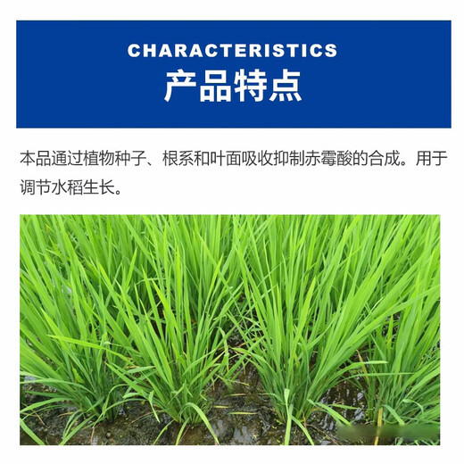 10% prohexadione calcium growth regulator for rice, wheat, cotton, melons, fruits and vegetables to control growth and resist lodging 500ml