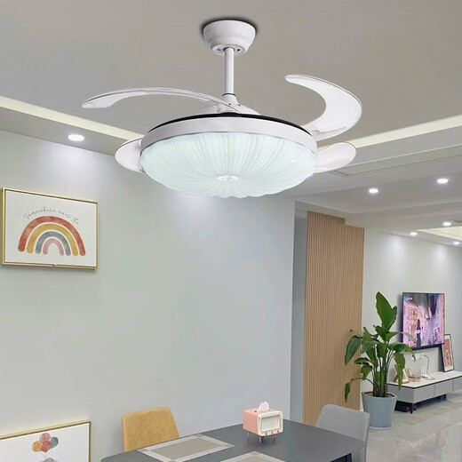 BOE京东自营官方旗舰店餐厅隐形吊扇灯全光谱护眼现代简约中山灯具 1077款【三色光支持精灵】 42寸