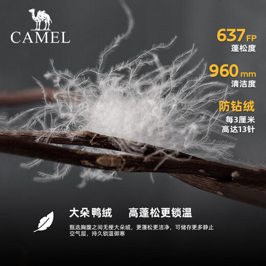 CAMEL Little Sun-Graphene Outdoor Down Jacket for Men and Women Same Style Thickened Warm Bread Jacket A33CAPN163