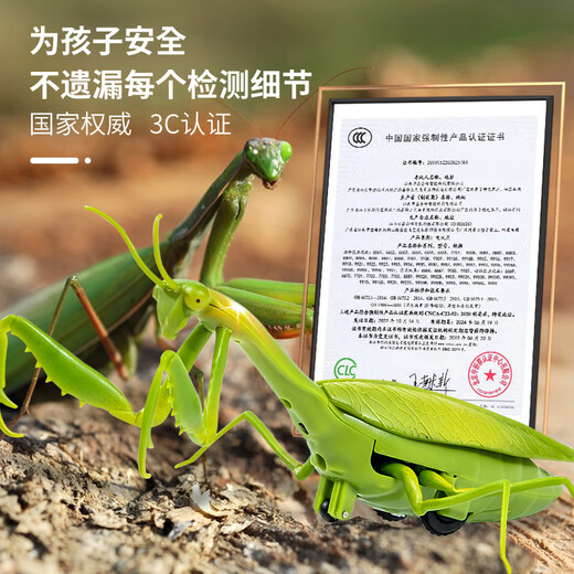 Jiaolu remote control mantis electric simulation toys Douyin prank artifact cockroach boys can move spider crawling animals [classic version - remote control ladybug] red model 9922+ snail official standard