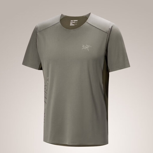Arc'teryx Logo de Norvan Downword pour hommes