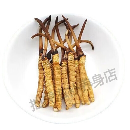 
Beijing Tongrentang Fresh Cordyceps sinensis Fresh Cordyceps Head Period Cordyceps Gift Goods Flagship Nutrition Camp 2025 First Fresh Cordyceps 0.6g/root 10