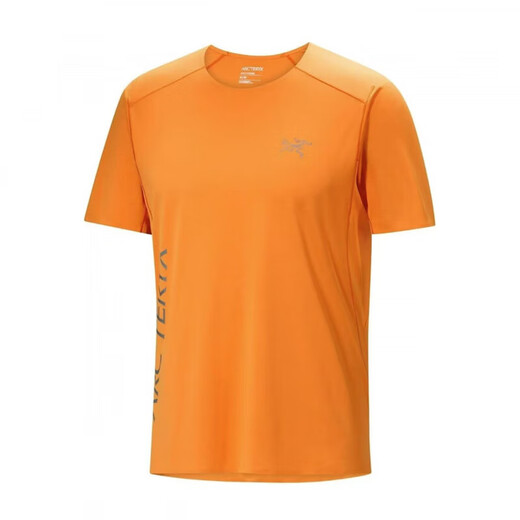Arc'teryx Arcteryx Arctic Bird Norvan Downword Downword Pressante de manga de manga corta para hombres.