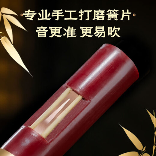 金孔雀红木葫芦丝c调小学生专用降bfg调专业演奏级成年人品牌旗舰店乐器 【光面葫芦红木音管】降b调+赠品