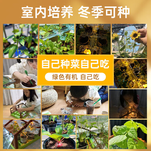 Cadeaux d'anniversaire pour enfants et filles pour garçons 6 élèves des écoles élémentaires 8 filles 12 10 ans filles garçons jouets pratiques 18 types] Salaire de plantation + boîte au trésor de beauté
