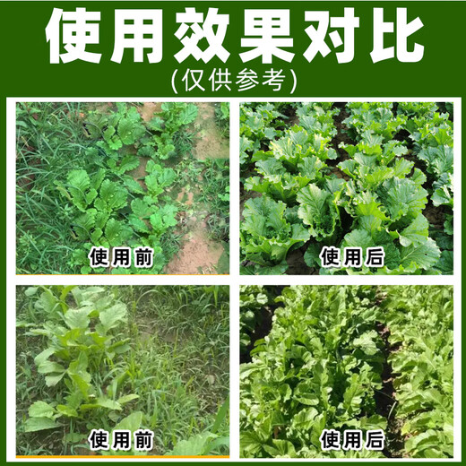 Special herbicide for vegetable fields, post-emergence weeding set, broad-leaf vegetable, weed, rapeseed, tip-leaf, weed-killing pesticide 50ml*5 sets, best-selling in stores