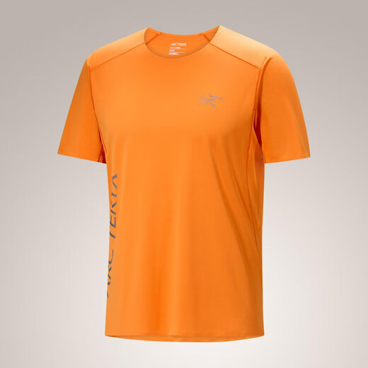 Archaeoptera Bird (Arc'teryx) Archaeoptera Bird Norvan Downword Logo SS Camiseta de manga corta Men 9720 [ADD/858] Forraje/Tatsu Misty Green S