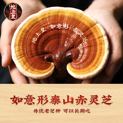 地上皇破壁灵芝孢子粉60克袋装赤灵芝 增强免疫力 非长白山灵芝粉 季度调理【4赠2到手6盒】