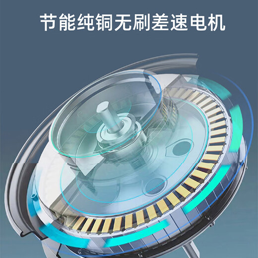 Flying Pigeon Electric Tricycle, Passenger and Cargo Dual-Purpose Car, Elderly People's Transport, Cargo and Cargo, Battery Car for Picking Up Children