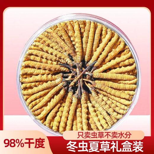 Новая сушящая подарочная подарочная коробка Cordyceps от Kangsil Authentic Dired Cordycess, чтобы подарить подарки для питания и питания качества отбора Cordyceps для старейшин Tibet Nagqu Cordyceps около 3 корней/грамм 40 корней (подарочная коробка)