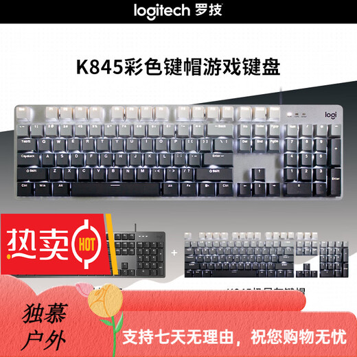 罗技（Logitech）K845机械键盘 有线键盘 办公电脑打字键盘  电竞游戏发光全尺寸个 罗技K845青轴晨曦灰
