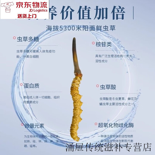 北京同仁堂【黑色星期五】冬虫夏草虫草干货冬虫夏草高品质虫草散装 虫草30根-再送3根