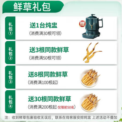 北京同仁堂【2025年头茬鲜草】新鲜冬虫夏草头期鲜虫草送父母滋补营养品0.8 0.8克/根 35根装