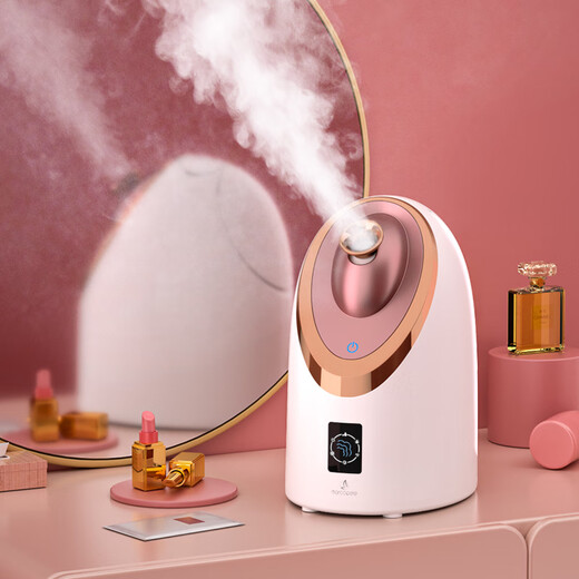 Xulin Germany high-end hot and cold dual spray facial steamer for household facial hydration and beauty instrument nano sprayer facial humidifier hot spray nano facial steamer to hydrate and open pores NV8385 rose gold