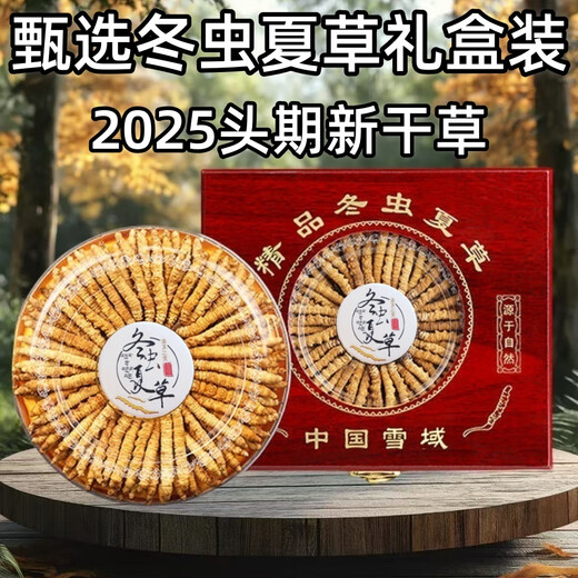 Cordyceps gift box 2025 first stubble new dried cordyceps authentic guaranteed to ship authentic Tibetan cordyceps on the same day. Tibet fine cordyceps 2 pieces 1 gram 30 pieces