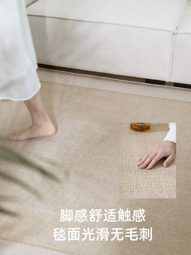 ZOCI地毯客厅免洗可擦轻奢高级感卧室地垫客厅地毯新款凉席地垫夏季 宜沐-15780 140*200双面防滑