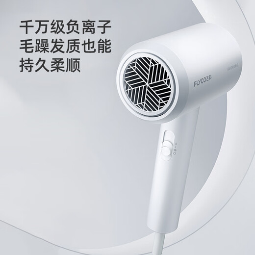 飞科护发电吹风机家用速干便携学生宿舍低噪音冷热风大功率吹风筒/FH6296/6290/PH1628 负离子爆款+时尚锤子设计【白】