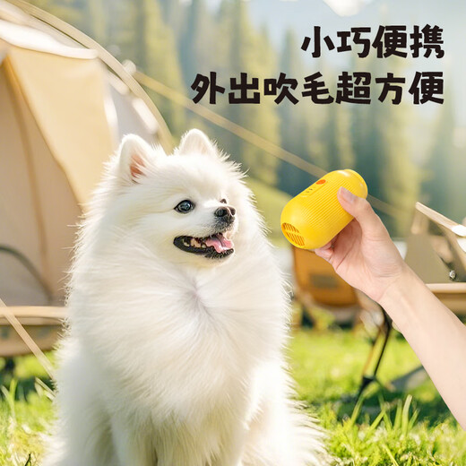 L&W BROS. Pet electric hair suction machine, wireless hair trimmer, cat hair cleaner, hair removal artifact, dog comb, suction comb to remove floating hair, 4-in-1 multi-function wireless hair suction and grooming machine