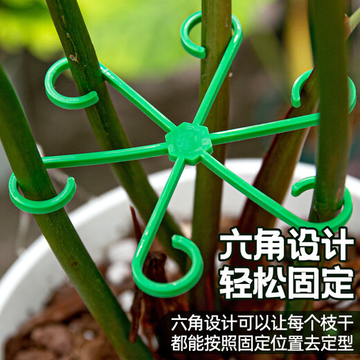 Monstera Pflanzenträger Pole Blume Phalaenopsis Fixed Green Plant Anti-Lost Gartenblütenstillkollektor [1 Set] einschließlich vier Größen