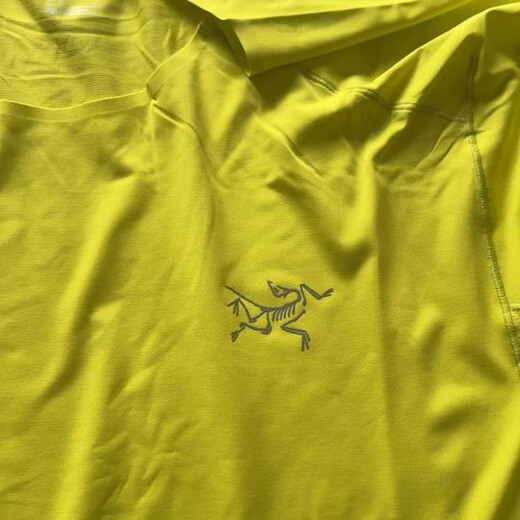 Archaeopteryx (Arc'teryx) Norvan Downword-Logo Leicht atmungsaktives, schnell getrocknetes kurzärmeliges T-Shirt-T-Shirt-Kurzärmel-Schwarz x9720 m