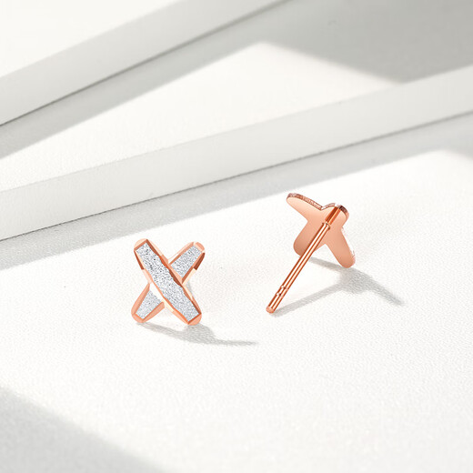 Trendy Acer Newborn 18K Gold Earrings for Women Color Gold Earrings Fashionable and Versatile Gift for Girlfriend Birthday Gift One Pair Contains Silicone Ear Plugs