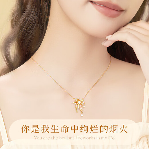 Central Chuang Fashion Chinese Gold and Silver Necklace Women's Light Luxury Niche Girl Birthday Gift for Girlfriend, Wife and Best Friend S925