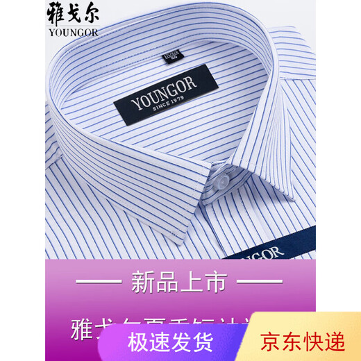 CEO雅戈尔男士短袖衬衫夏季商务休闲职业正装棉免烫中年大码条纹衬衣 短袖DX6624 43