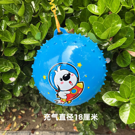 悦卜西瓜球儿童充气弹力小皮球婴幼儿宝宝手抓拍拍球按摩球幼儿园玩具 吊绳足球+西瓜球【带打气筒】