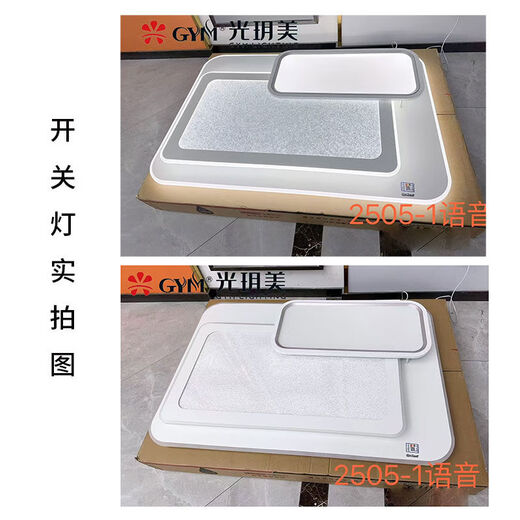 铁艺铝材客厅灯卧室灯餐厅灯现代简约大气轻奢吸顶灯套餐灯 01-2长9901-110*70cm-遥控带语音0